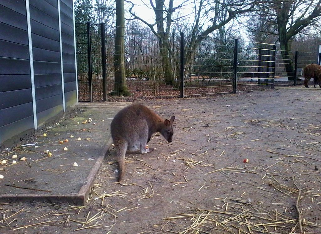 Stadsboerderij de Amsteldieren - Amsterdam